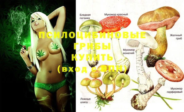 гашишное масло Няндома