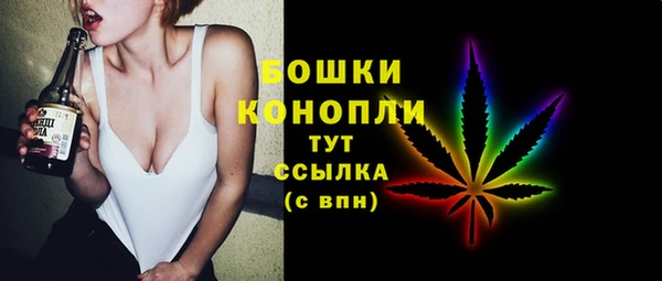 эйфоретик Аркадак