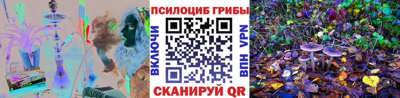 ссылка на мегу зеркало  Спас-Деменск  Псилоцибиновые грибы Psilocybe 